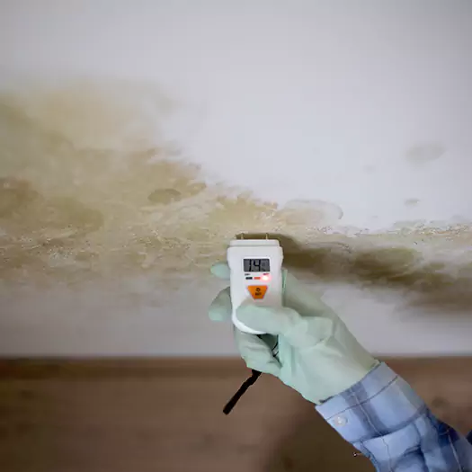 Reliable Mold Inspection Experts in Manorville, NY