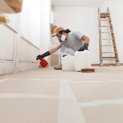 Reliable Mold Stain Remover Specialists in Manorville, NY