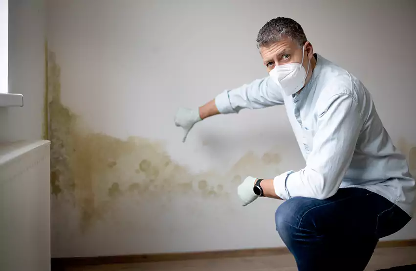 Mold Removal in Manorville, NY