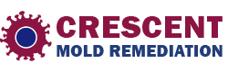 Crescent Mold Remediation