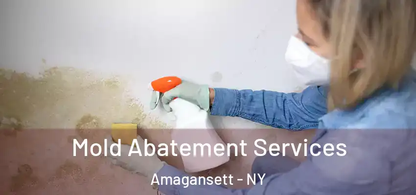  Mold Abatement Services Amagansett - NY