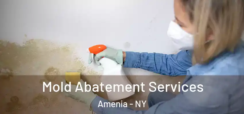  Mold Abatement Services Amenia - NY