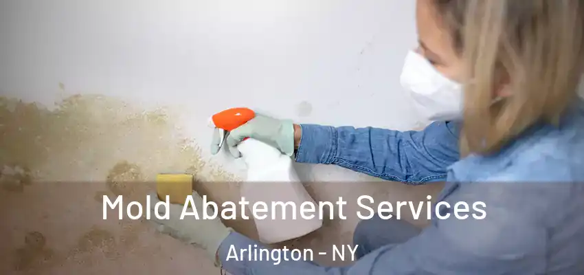  Mold Abatement Services Arlington - NY