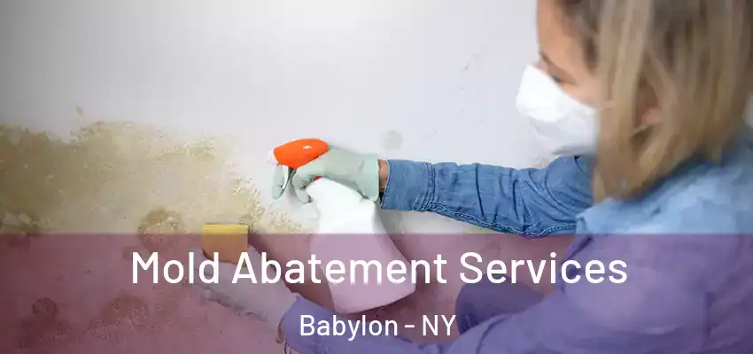 Mold Abatement Services Babylon - NY