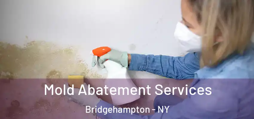  Mold Abatement Services Bridgehampton - NY