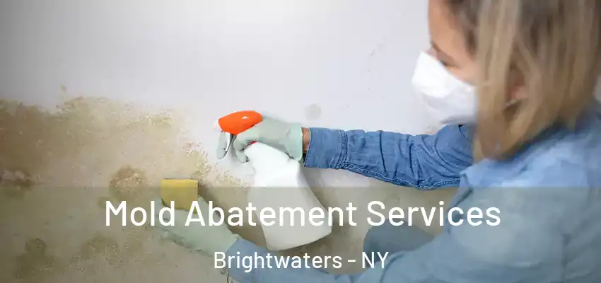  Mold Abatement Services Brightwaters - NY