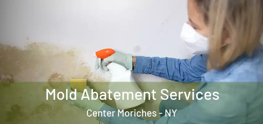 Mold Abatement Services Center Moriches - NY