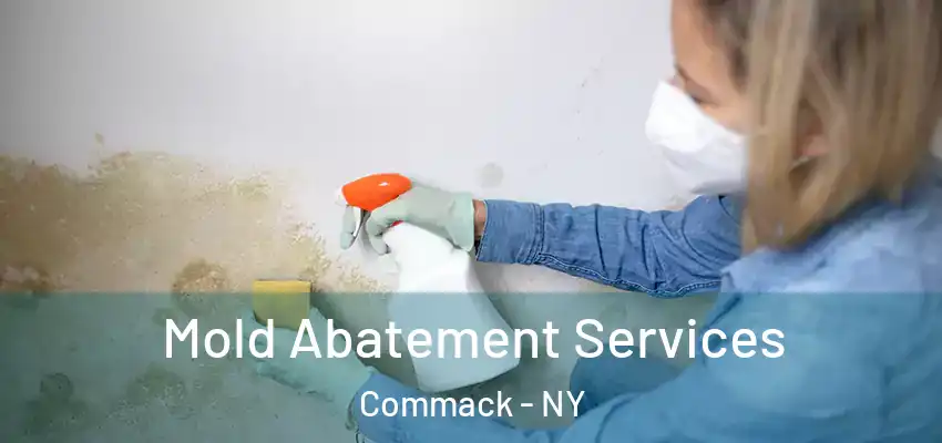  Mold Abatement Services Commack - NY