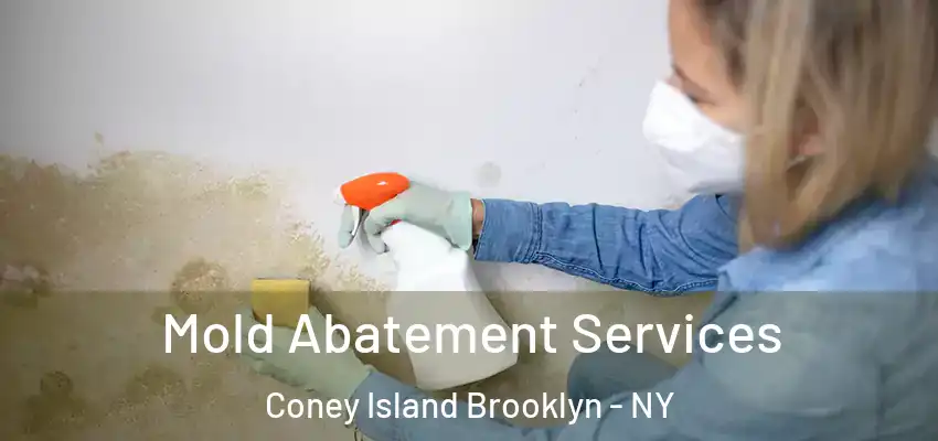  Mold Abatement Services Coney Island Brooklyn - NY