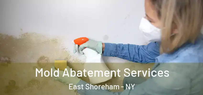  Mold Abatement Services East Shoreham - NY