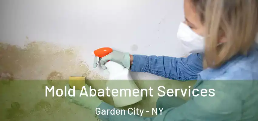  Mold Abatement Services Garden City - NY
