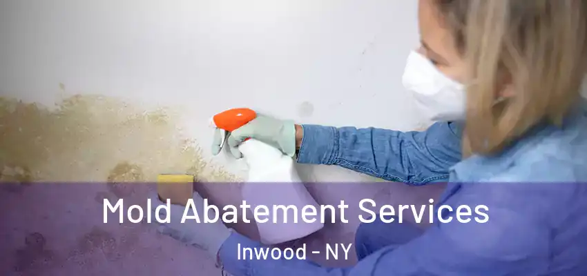  Mold Abatement Services Inwood - NY