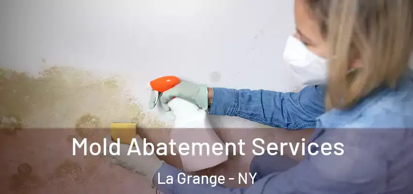  Mold Abatement Services La Grange - NY