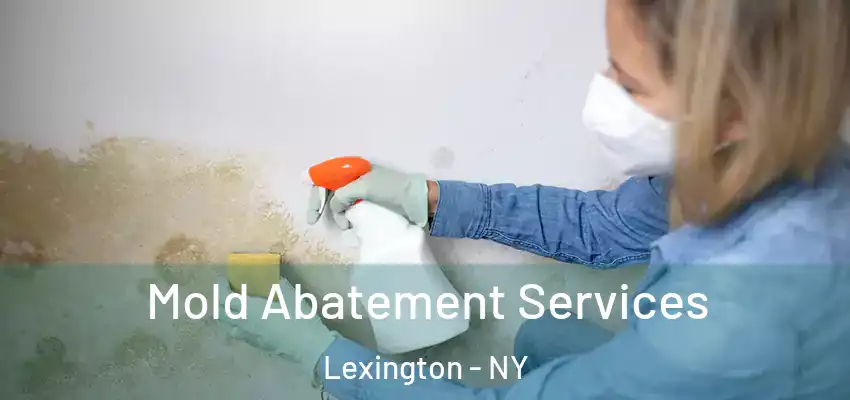 Mold Abatement Services Lexington - NY