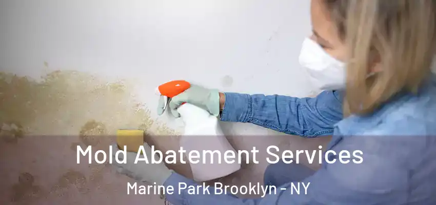 Mold Abatement Services Marine Park Brooklyn - NY