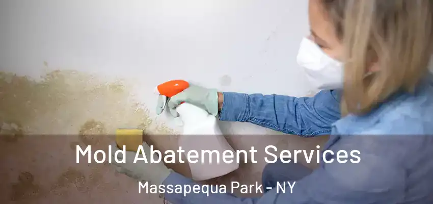  Mold Abatement Services Massapequa Park - NY