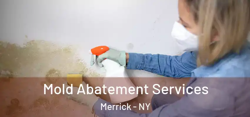 Mold Abatement Services Merrick - NY