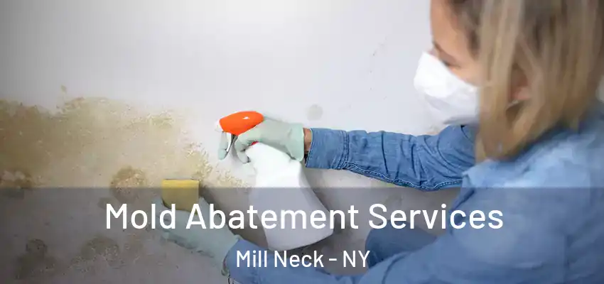 Mold Abatement Services Mill Neck - NY