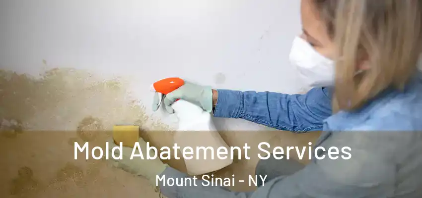  Mold Abatement Services Mount Sinai - NY