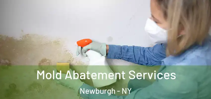 Mold Abatement Services Newburgh - NY