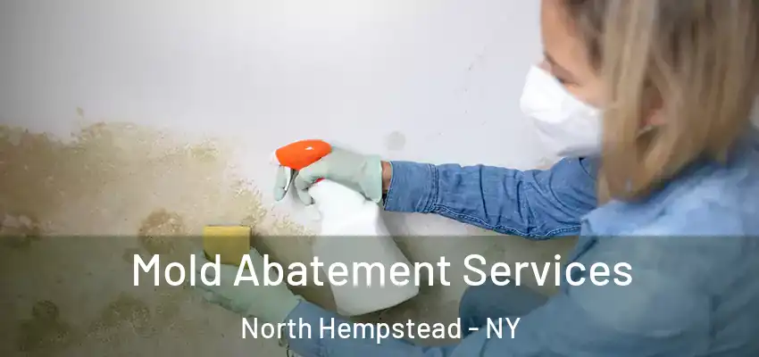 Mold Abatement Services North Hempstead - NY