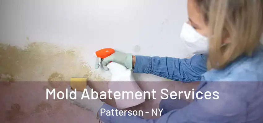 Mold Abatement Services Patterson - NY