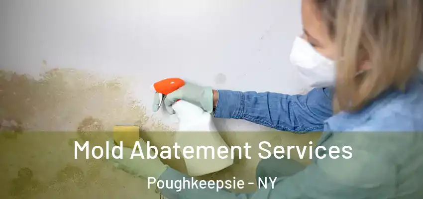 Mold Abatement Services Poughkeepsie - NY