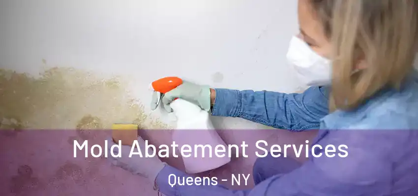 Mold Abatement Services Queens - NY