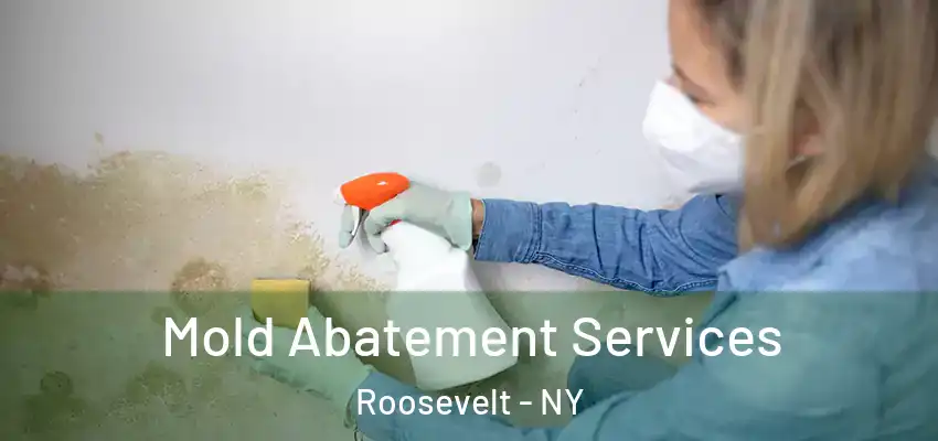 Mold Abatement Services Roosevelt - NY