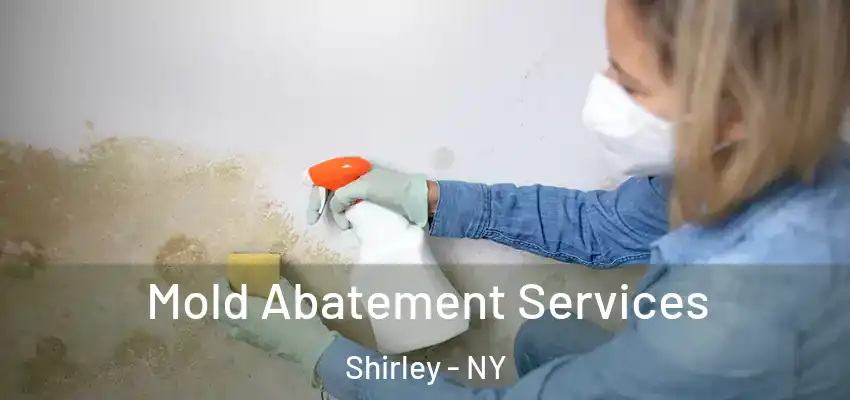  Mold Abatement Services Shirley - NY