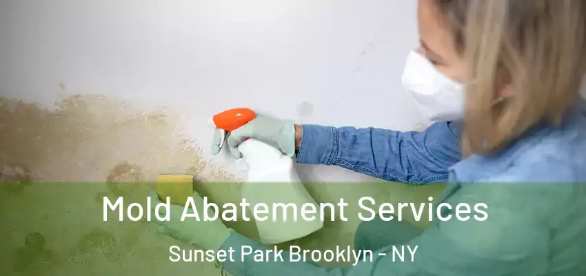  Mold Abatement Services Sunset Park Brooklyn - NY