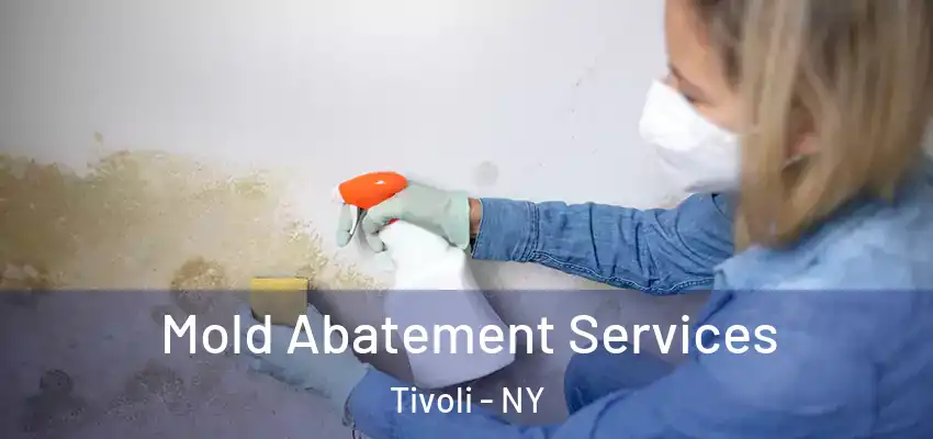  Mold Abatement Services Tivoli - NY