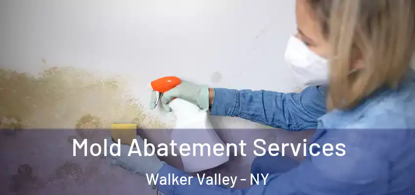 Mold Abatement Services Walker Valley - NY