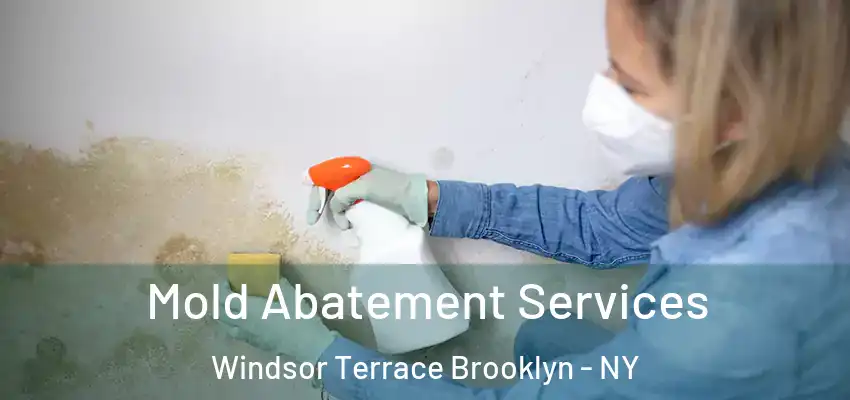  Mold Abatement Services Windsor Terrace Brooklyn - NY