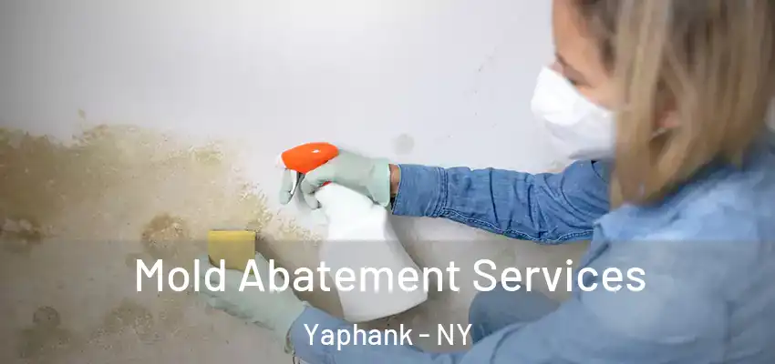 Mold Abatement Services Yaphank - NY