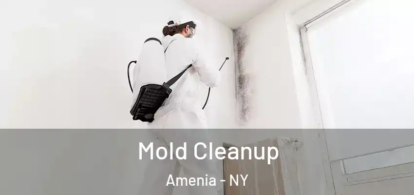 Mold Cleanup Amenia - NY