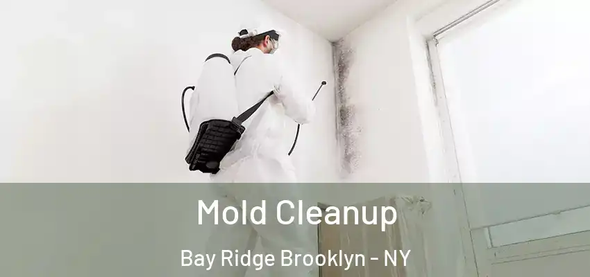  Mold Cleanup Bay Ridge Brooklyn - NY
