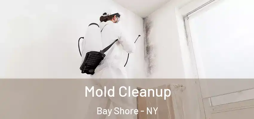  Mold Cleanup Bay Shore - NY