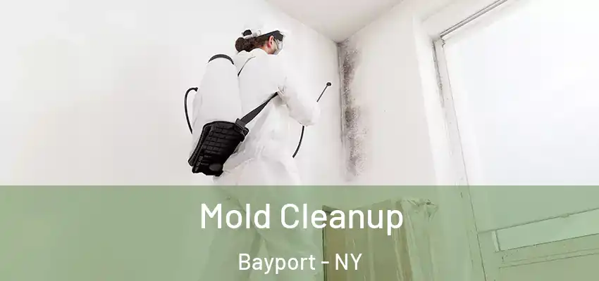 Mold Cleanup Bayport - NY