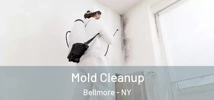  Mold Cleanup Bellmore - NY