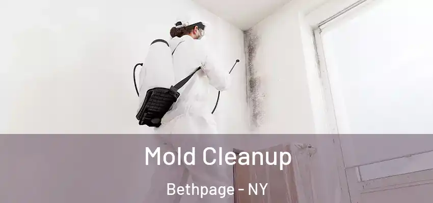  Mold Cleanup Bethpage - NY