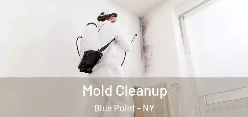  Mold Cleanup Blue Point - NY