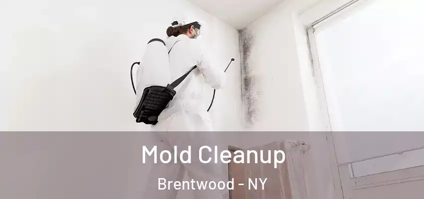 Mold Cleanup Brentwood - NY