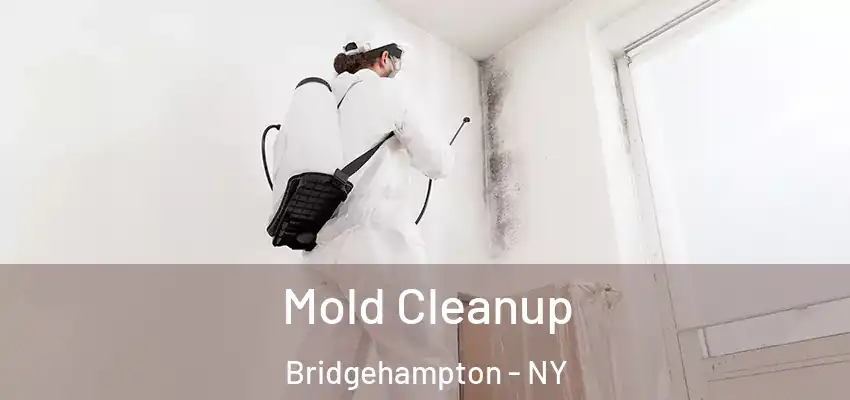  Mold Cleanup Bridgehampton - NY