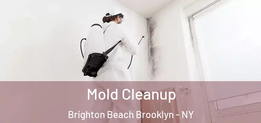  Mold Cleanup Brighton Beach Brooklyn - NY