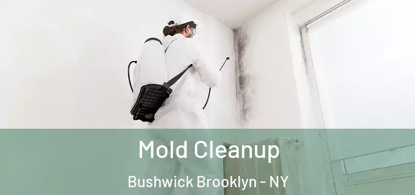  Mold Cleanup Bushwick Brooklyn - NY