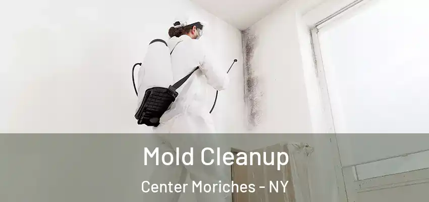  Mold Cleanup Center Moriches - NY