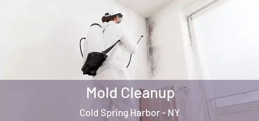  Mold Cleanup Cold Spring Harbor - NY