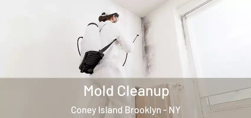  Mold Cleanup Coney Island Brooklyn - NY