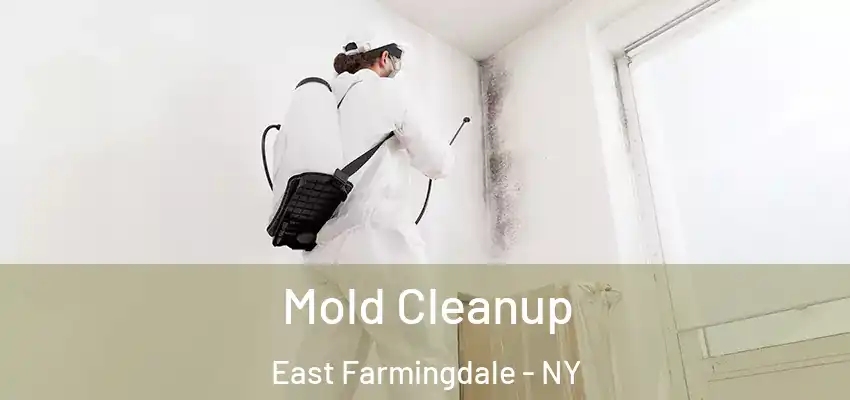  Mold Cleanup East Farmingdale - NY